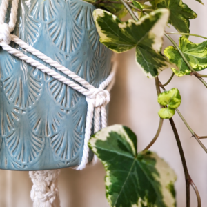 Colgador de plantas de macramé