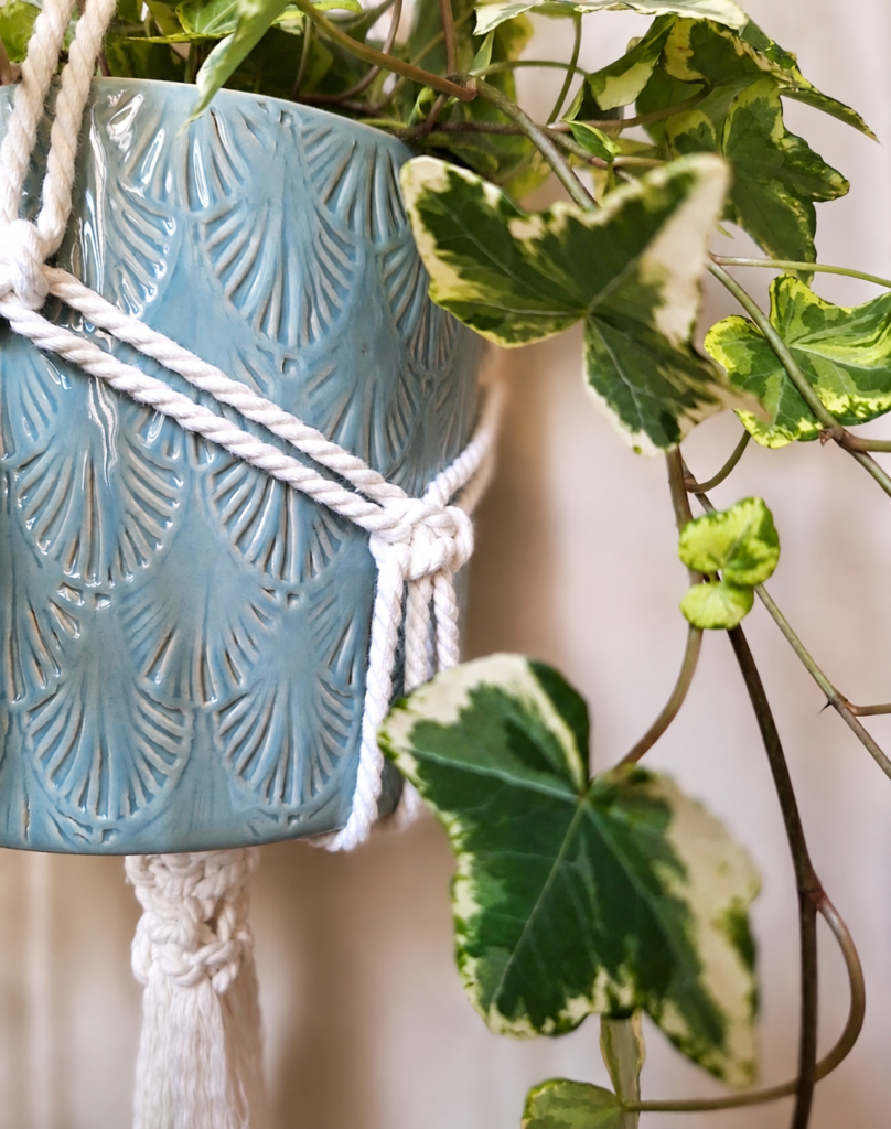 Colgador de plantas de macramé