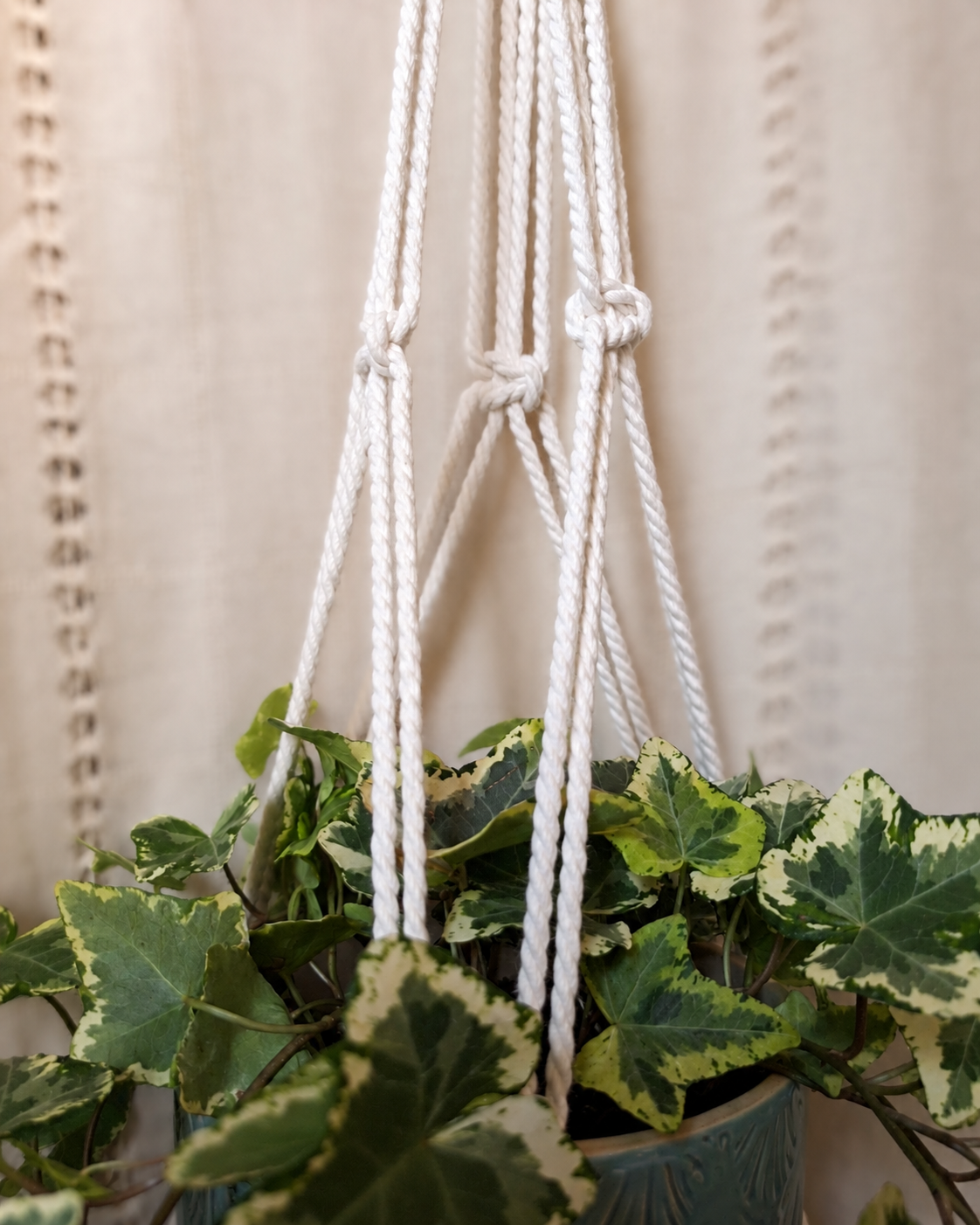 Colgador de plantas de macramé - Imagen 5