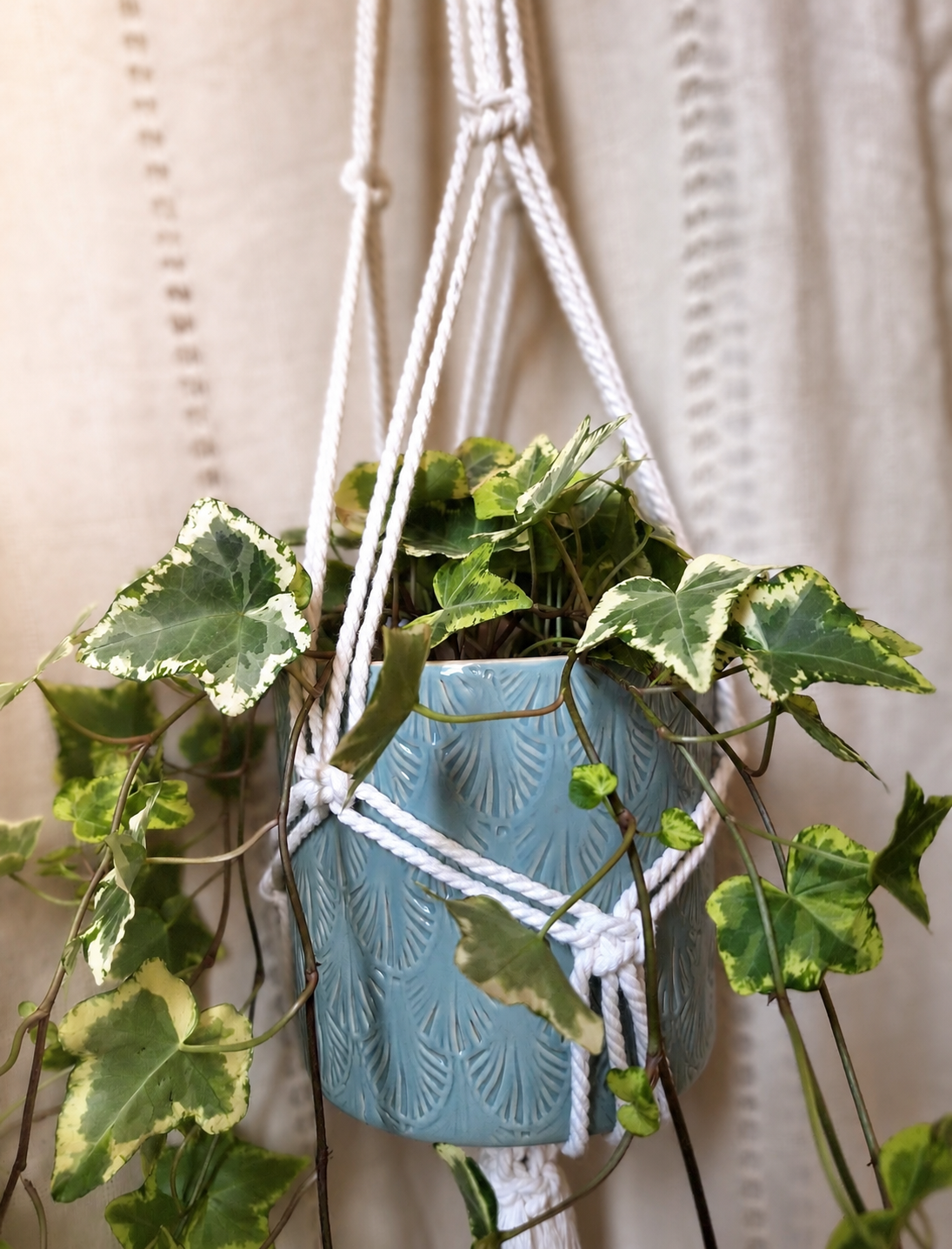 Colgador de plantas de macramé - Imagen 6